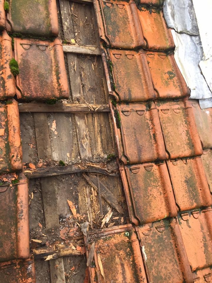 Dakreparatie door Maesam Dak